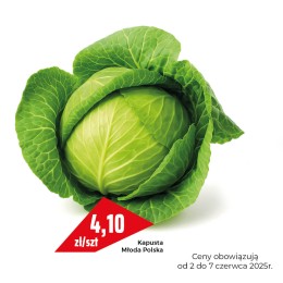 Kapusta młoda